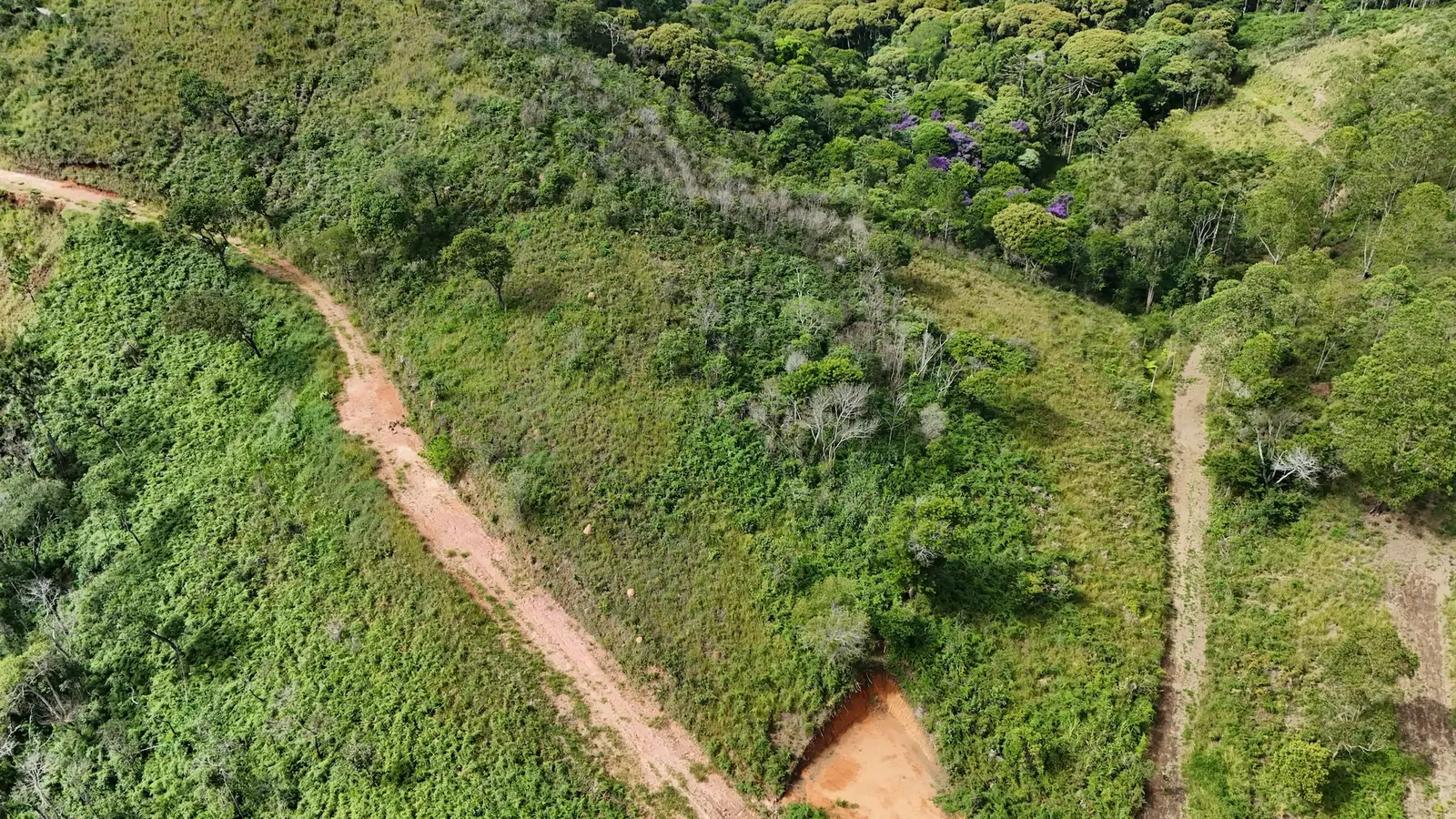 Vista aérea das ruas de acesso aos lotes do Magnólias II
